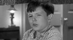 Leave It to Beaver (TV Series 1957-1963) — The Movie Database (TMDB)