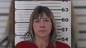 Five arrested in Henderson County overnight for drugs, outstanding felony  warrants