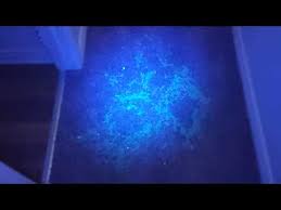 The most likely culprit is an appliance, such as a dishwasher, washing machine or an air conditioner. How To Remove Pet Urine Odor From Concrete Garage Floors All Garage Floors