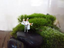 Over The Threshold Terrarium Accessoryminiature Couple Fun Wedding Gift Terrarium Miniatures Bride And Groom Weddi Terrarium Miniature Bride Mini Terrarium