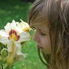 Stream Jeff Pepin music