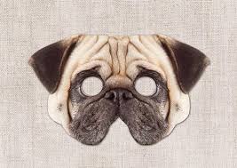 Find the pug puppy of your dreams through one of good dog's trusted pug breeders in . Trace On A Pug