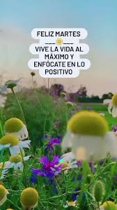 Feliz Martes???? #frasespositivas???????????????? | TikTok