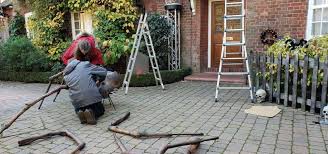 Maybe you would like to learn more about one of these? Halloween House Dressing Services Professional Halloween Dressers