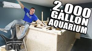 Check spelling or type a new query. My 2 000 Gallon Aquarium Youtube