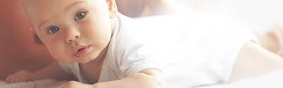 Women S Health Bayfront Health Spring Hill Spring Hill Florida
