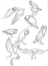 40 Free Easy Animal Sketch Drawing Information Ideas Animal Sketches Animal Drawings Bird Drawings