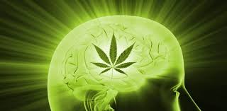 images?q=tbn:ANd9GcS WzCAbuiZs K gTLto UMDv KM0yq3Ing2 LsTAqsbSnJWQ3p4w