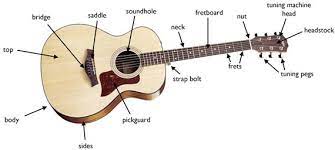 The guitar chart is printable with adjusted width to fit on an a4 paper for printers with 72 or higher dpi. Named Of Guitar Parts Lakways Com