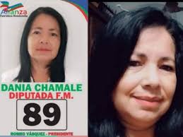 Todos los candidatos de la Alianza Patriótica que buscan un curul