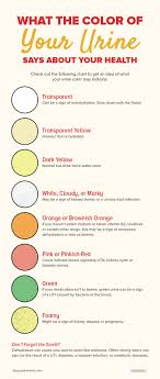 What The Color Of Your Urine Says About Your Health Small Joys