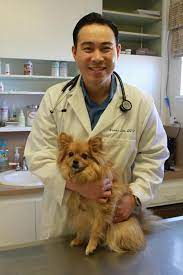 Did you use this practice before joining pet assure? Urban Pet Hospital Home Facebook
