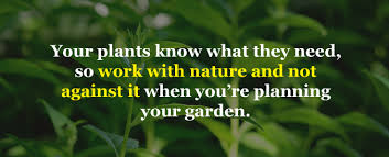 Stroll through almost an entire city block filled with trees, shrubs, flowers, veggies, herbs, native plants and much, much more. Using Limestone For Gardens How Much Lime To Add To Soil