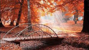 Search more than 600,000 icons for web & desktop here. Hd Wallpaper Imagini Toamna Scenic Leaves 1920x1080 4k Pics Wallpaper Flare