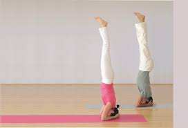 Check spelling or type a new query. Asanas And Anatomy Sivananda Yoga Farm Northern California