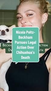 Nicola Peltz-Beckham Pursues Legal Action Over Chihuahua’s Death.  #nicolapeltz #nicolapeltzwedding #doglovers #nicolapeltzedit #doglawsuit  #chihuahua #nicolapeltzstreetstyle #lazypeoplestv