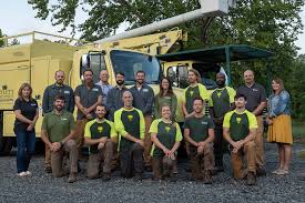 Jacksonville tree service is one of the best tree companies in jacksonville for all your tree needs, from small residential yards to larger commercial jobs. Tree Service And Shrub Care In Pisgah Forest Nc Bartlett