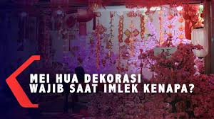 Proposal panitia perayaan natal ikatan pelajar mahasiswa/i moni (ipmm) intan jaya panitia perayaan natal ketua sekertaris. Mei Hua Dekorasi Wajib Saat Imlek Kenapa Youtube