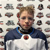 Player Development League