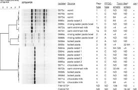 We did not find results for: Fatal Family Outbreak Of Bacillus Cereus Associated Food Poisoning Abstract Europe Pmc