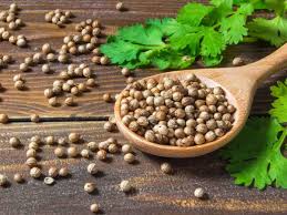 We did not find results for: Home Remedy For Vertigo à¤¸ à¤° à¤šà¤•à¤° à¤¨ à¤ªà¤° à¤¤ à¤° à¤¤ à¤…à¤ªà¤¨ à¤ à¤¯ à¤‰à¤ª à¤¯ à¤¨à¤¹ à¤†à¤à¤— à¤šà¤• à¤•à¤° Natural Remedies For Dizziness Navbharat Times