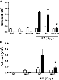 Ein jahr nach seiner letzten sendung am 26. Granulocyte Macrophage Colony Stimulating Factor Gm Csf Regulates Lung Innate Immunity To Lipopolysaccharide Through Akt Erk Activation Of Nfkb And Ap 1 In Vivo Journal Of Biological Chemistry