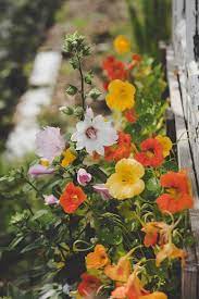 Garden Puns And Garden Jokes To Make You Giggle Growing Family