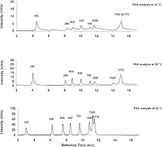 Reversed-Phase Ion-Pair Hplc Chromatogram Of A Mixed Standard... | Download  Scientific Diagram