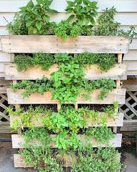 We did not find results for: 40 Best And Cheap Diy Herb Garden Ideas For Indoor Outdoor