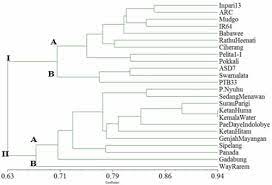 Contoh membandingkan fenogram dan kladogram. Keragaman Genetik 24 Varietas Padi Sawah Dan Padi Gogo Oryza Sativa L Indonesia Berdasarkan Marka Ssr Nugroho Scripta Biologica