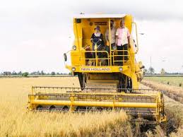Tidak, karena di setiap daerah mempunyai tingkat kesuburan tanah yang berbeda juga. Pandemik Covid 19 Tidak Jejas Sektor Pertanian