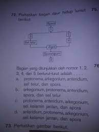 · sporofit tumbuh pada gametofitnya atau pada tumbuhan lumut itu sendiri, serta bersifat sebagai parasit terhadap gametofit. Generasi Sporofit Pada Tumbuhan Lumut Adalah Generasi Yang Menghasilkan Jawabanku Id