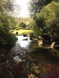 Japanese Garden Kaiserslautern Germany Japanese Garden Germany Amazing Nature