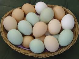 Cara yang paling umum dilakukan yaitu dengan memilih telur bebek yang berasal dari peternakan tradisional. Pengertian Telur Lengkap Beserta Jenis Cara Memilih Manfaat Dan Penyimpanannya Watonsinau Work