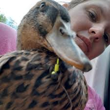 We caught her! The...