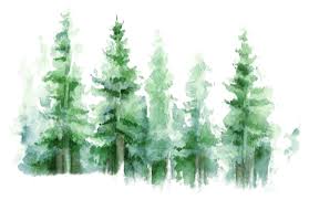 Douglas Conklin Obituary (1947