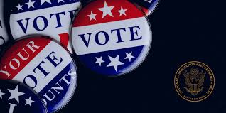 (noun) an example of a vote is a citizen choosing of barack obama for president. Can I Vote Nass