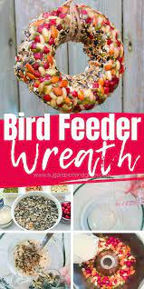 How To Make An Easy Bird Seed Wreath Using Everyday Kitchen Supplies And Some Bird Seed A Fun Way To Treat Y In 2021 Bird Feeder Craft Bird Seed Ornaments Bird Seed