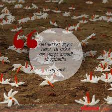 Pin By Ketaki Deokar On Marathi Adorable Quotes Flower Quotes Marathi Quotes