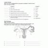 Start studying human reproductive system. 1