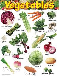 Basic Vegetable Chart In 2019 Vegetable Chart Sprouting