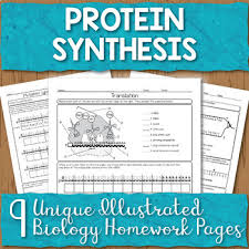 Dna proteins and mutations answer key. Mutations And Proteins Worksheets Teaching Resources Tpt