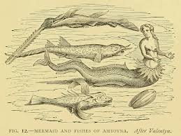 The Murky Tale of John Smith and the Mermaid | Smithsonian