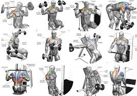 Pin By Hemant Bourasi On Workout Routine Shoulder Workout