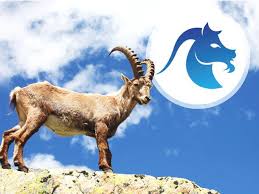 Zum ende des monats hin taucht nämlich das sternbild des wassermanns im himmel auf. Horoskope Steinbock Alle Horoskope Auf Einen Blick Astrowoche