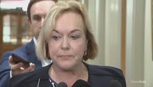 Judith Collins defends incorrect claim 'nobody escaped' when she was  Corrections Minister, says it was 'a joke'