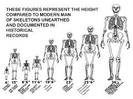 Giants Height Chart Nephilim Giants Human Giant Giant