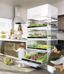Green Design Garden Cooking Indoor Vegetable Gardening Indoor Garden