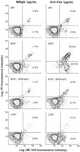 The entire world of balancing. Bruton S Tyrosine Kinase As An Inhibitor Of The Fas Cd95 Death Inducing Signaling Complex Journal Of Biological Chemistry