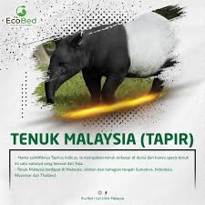 Daftar merah 2004 ini mencantumkan lebih dari 15.500 spesies. Ecobed Malaysia 8 Spesis Haiwan Paling Terancam Di Facebook